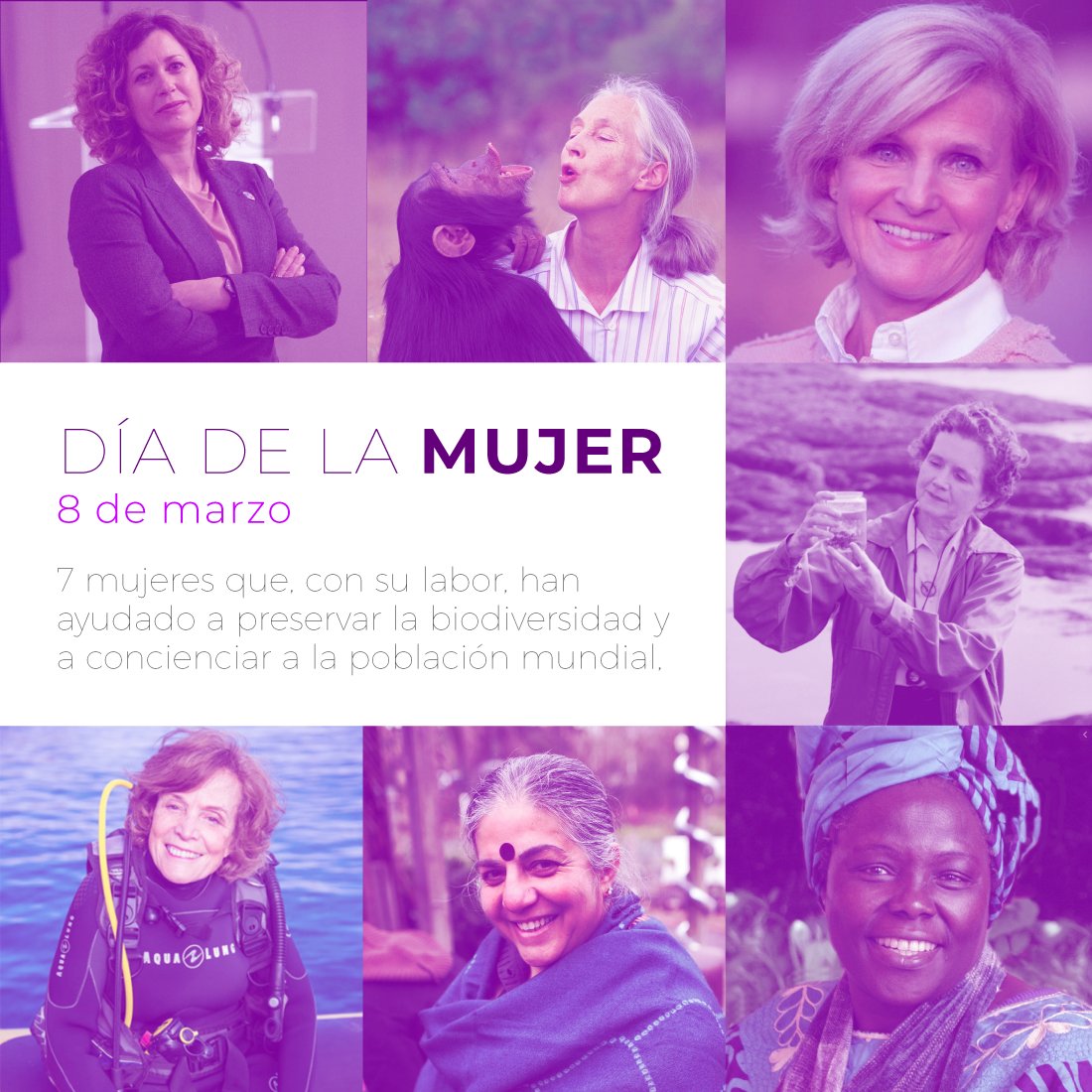 FBiodiversidad's tweet photo. Hoy, en el #DíaDeLaMujer, destacamos algunas de las mujeres que, con su labor, han ayudado a preservar la #biodiversidad y a concienciar a la población mundial 💚🌎

Sigue este hilo 👇🧵 https://t.co/hFC7DEdjjr