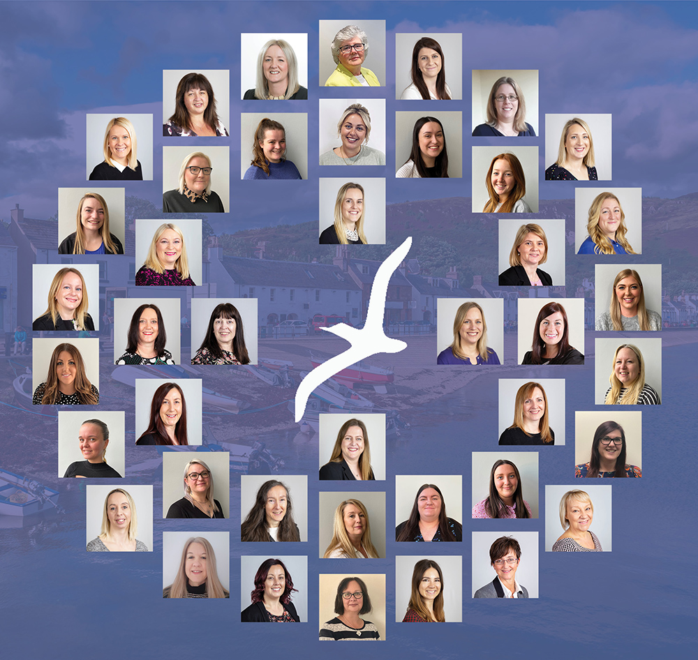 Albatross Travel tweet media