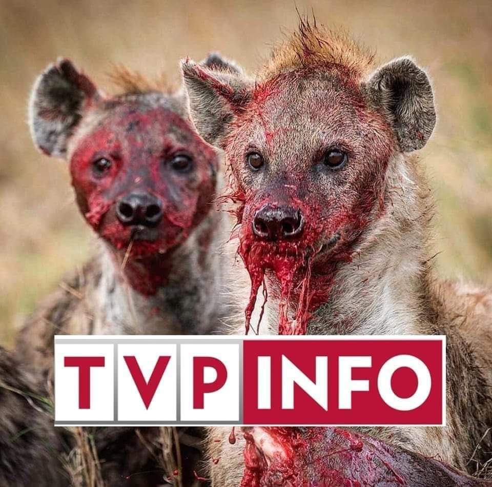 lucekteam's tweet photo. Całkiem zgrabna ta grafika. https://t.co/Kd7PYIpp1z