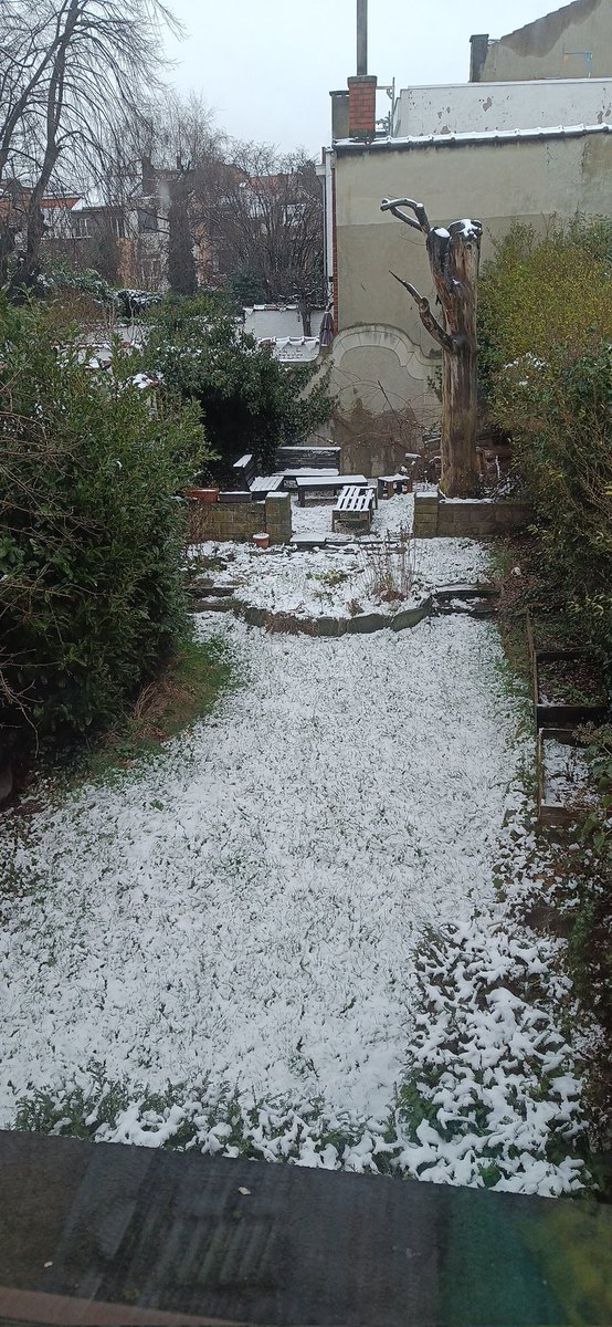 Hey les gars, je viens de me lever, il a neigé ! #vivreendecale