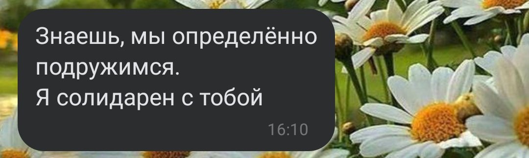 dalekseevnad's tweet photo. вот такая я хуйня https://t.co/FM6PbiTtmb