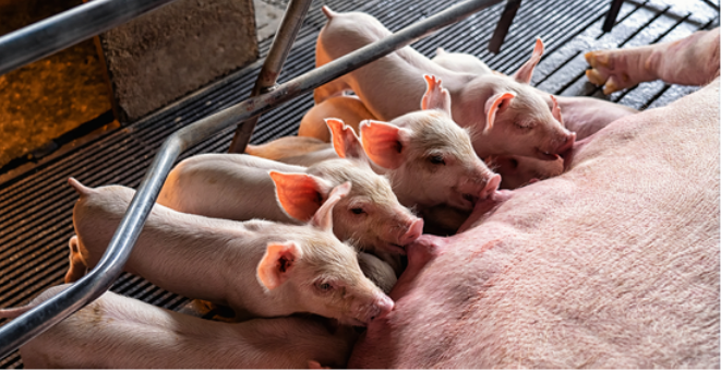 Pervasive Technologies tweet media