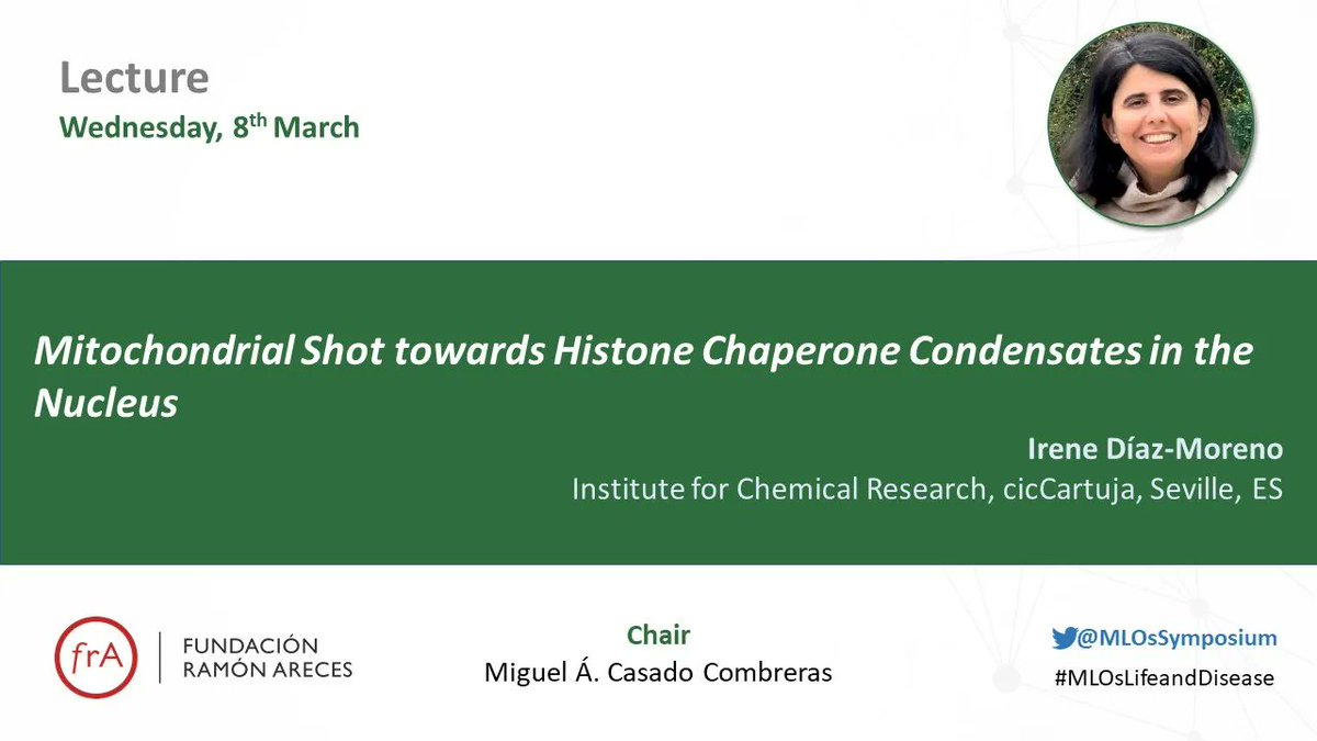 And now, for the last lecture, one of the #MLOsLifeandDisease Symposium coordinators, Irene Díaz Moreno @IIQ_US_CSIC will talk about Mitochondrial Shot towards Histone Chaperone Condensates in the Nucleus 
#frAreces #LLPS
@FundacionAreces @cicCartuja @SEBBM_es @unisevilla #RASC