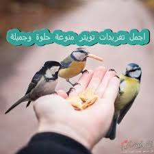 hd41622647's tweet photo. #صورة_ملف_شخصي_جديدة https://t.co/fg2Pxwww05