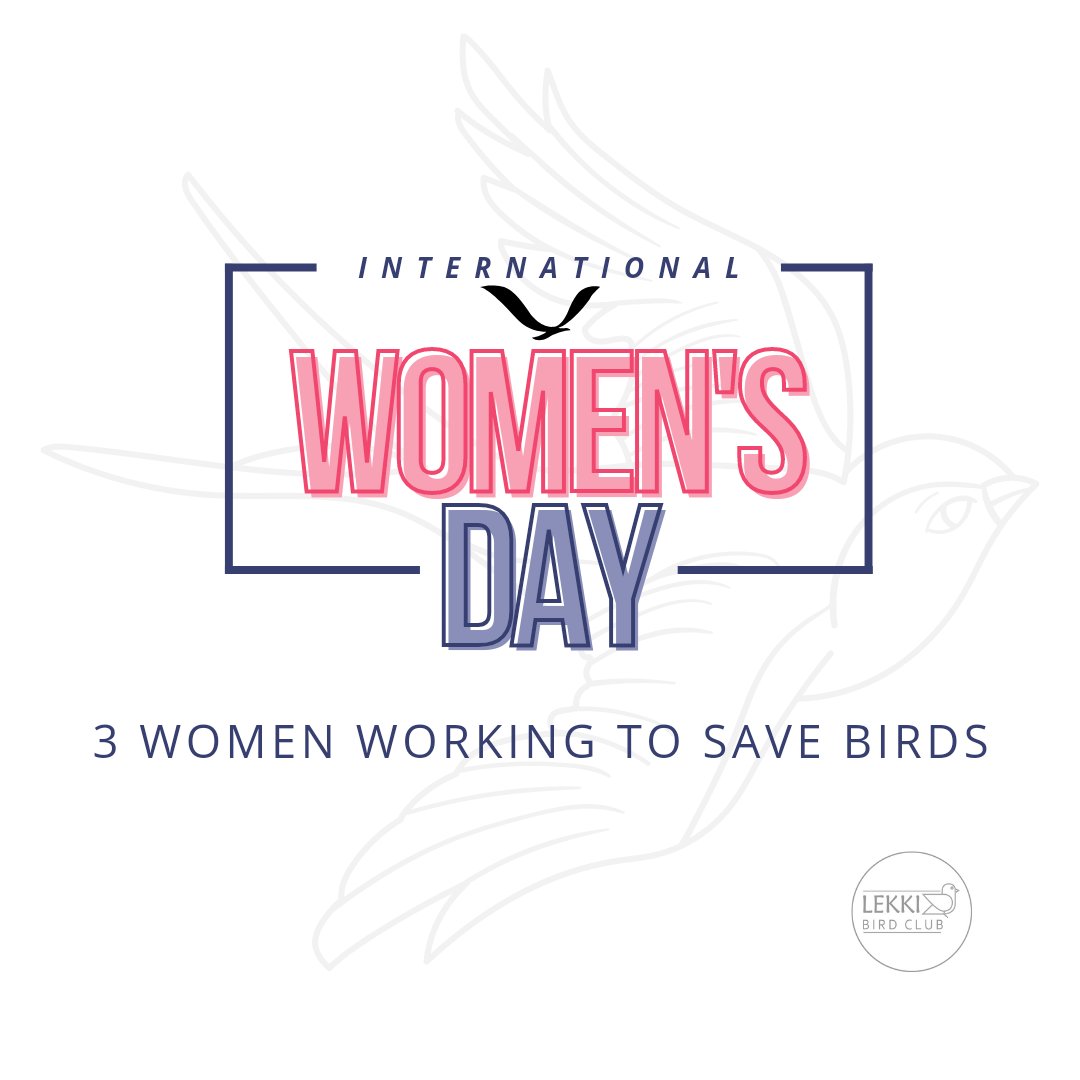 Lekki Bird Club 🇳🇬 tweet media