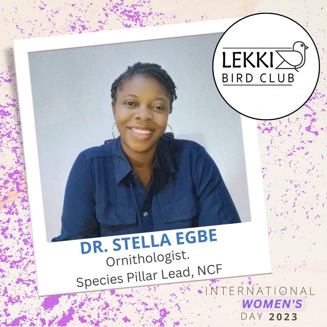Lekki Bird Club 🇳🇬 tweet media