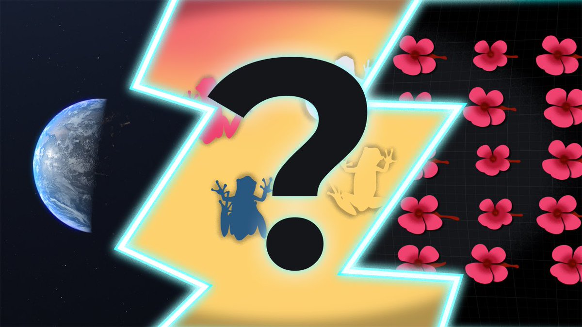 ¿Y si la propia biodiversidad puede mitigar los efectos del cambio climático? 👀 youtu.be/sjQkp_VtzGk