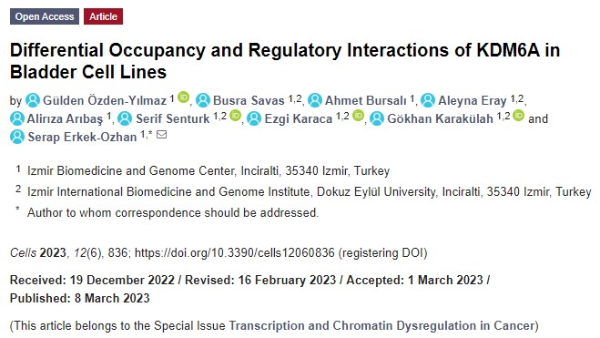 I am happy to share that my first first-author article has been published on March 8, International Women's Day. 💐
Congrats to great team!

lnkd.in/d2ptnjDx

#bladdercancer #chromatinregulation #proteinproteininteraction
