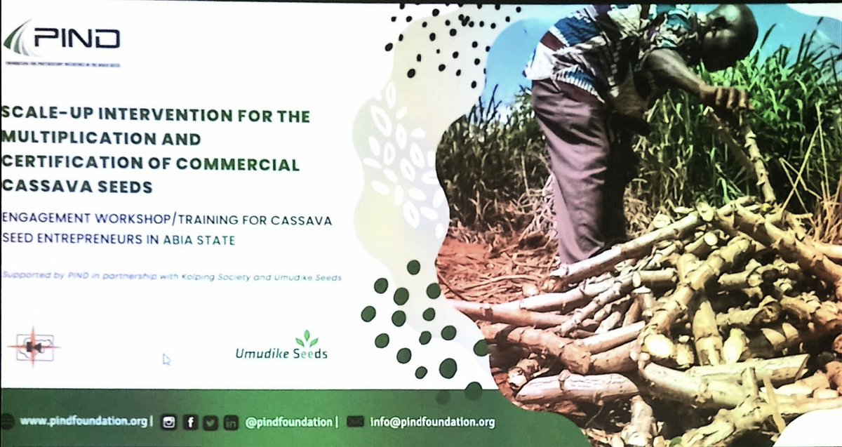 Umudike Seeds tweet media