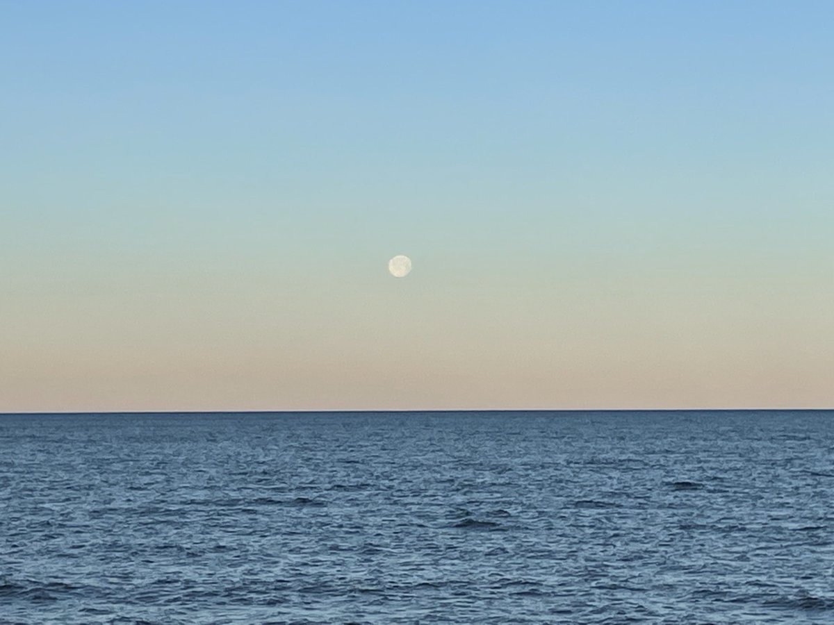 David Kinkela tweet media