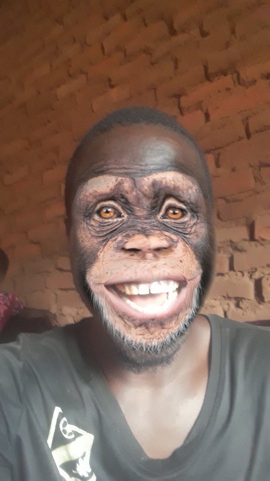 Oio Otem (@oio_otem) on Twitter photo 