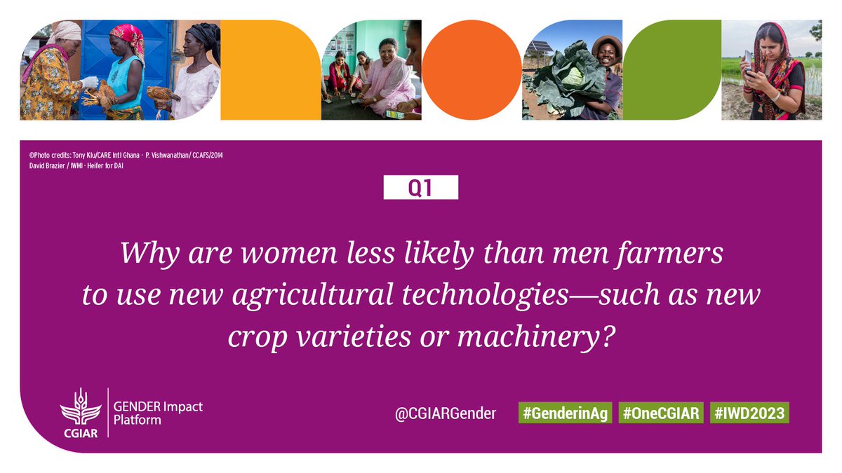 Q1: 
Why are women less likely than men farmers to use new agricultural technologies—such as new crop varieties or machinery?

#GenderinAg #IWD2023 #OneCGIAR