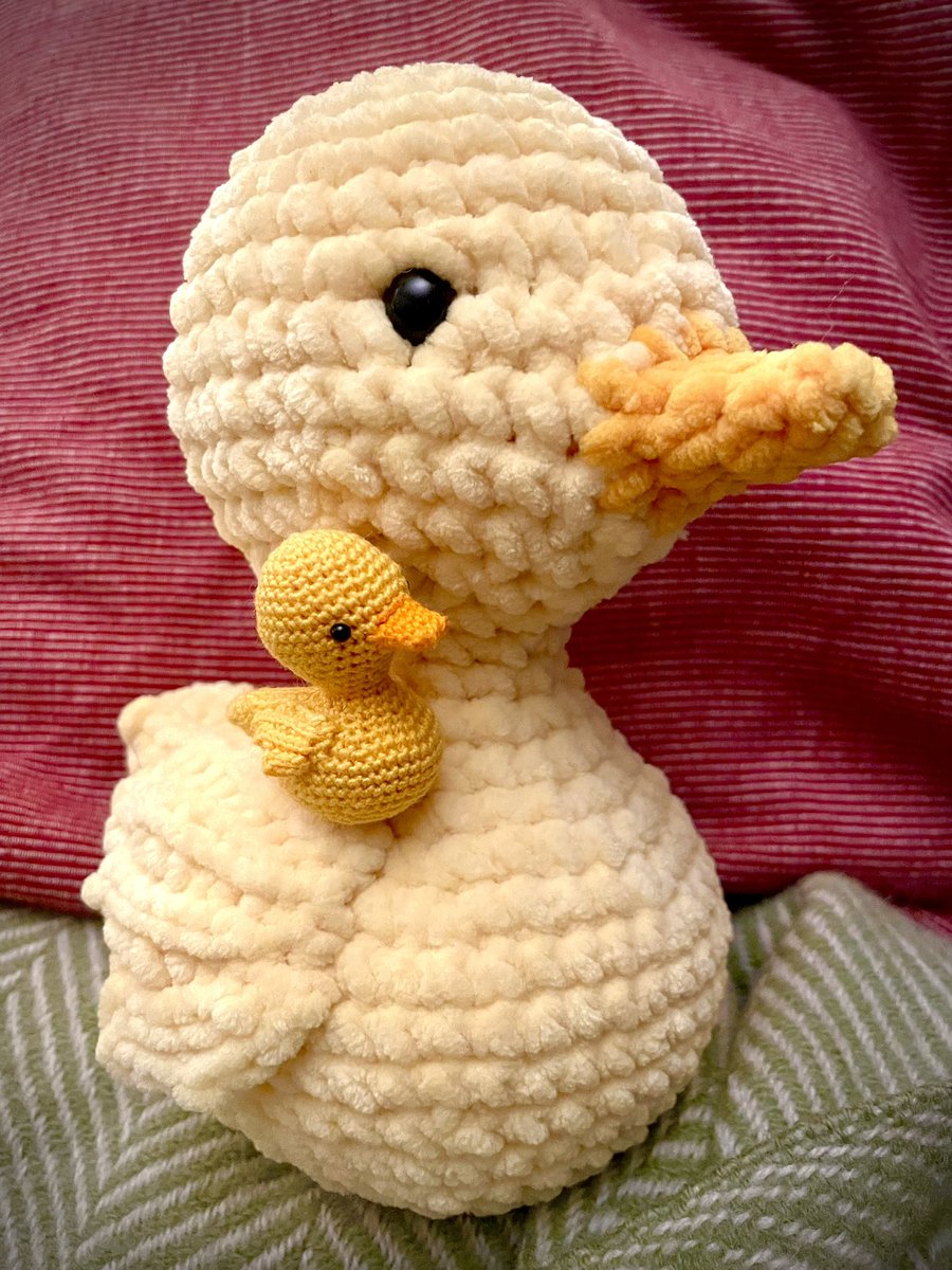 drmakerbaker's tweet photo. The duck-crocheting is getting slightly out-of-hand. Looking for adopters who are trialists using routine data 😉🦆

#DataDucks #DUCkSWAT https://t.co/yridsKnjdG