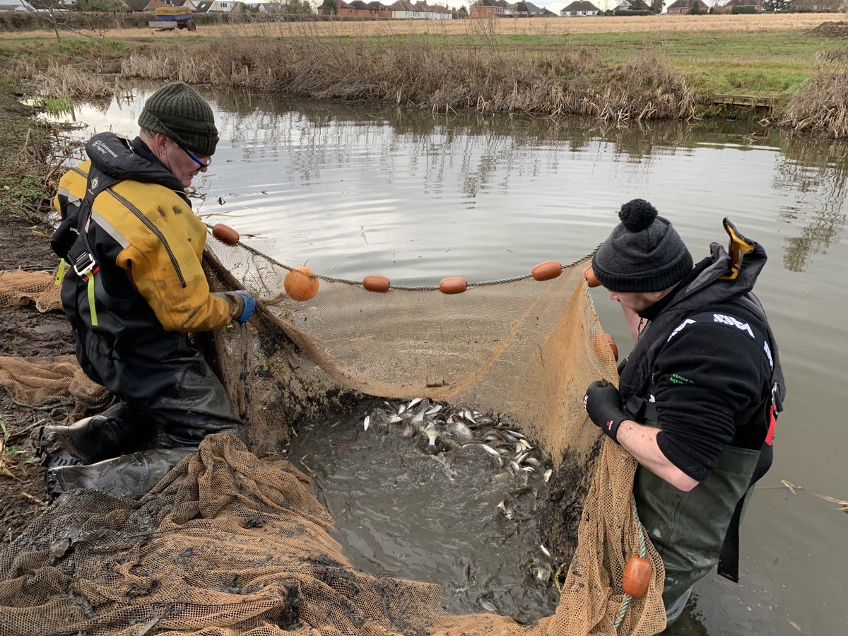 Environment Agency Midlands tweet media