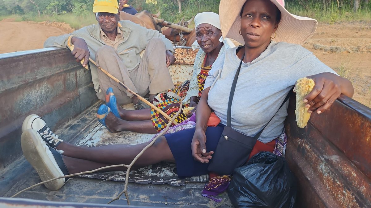 The Mirror Masvingo tweet media