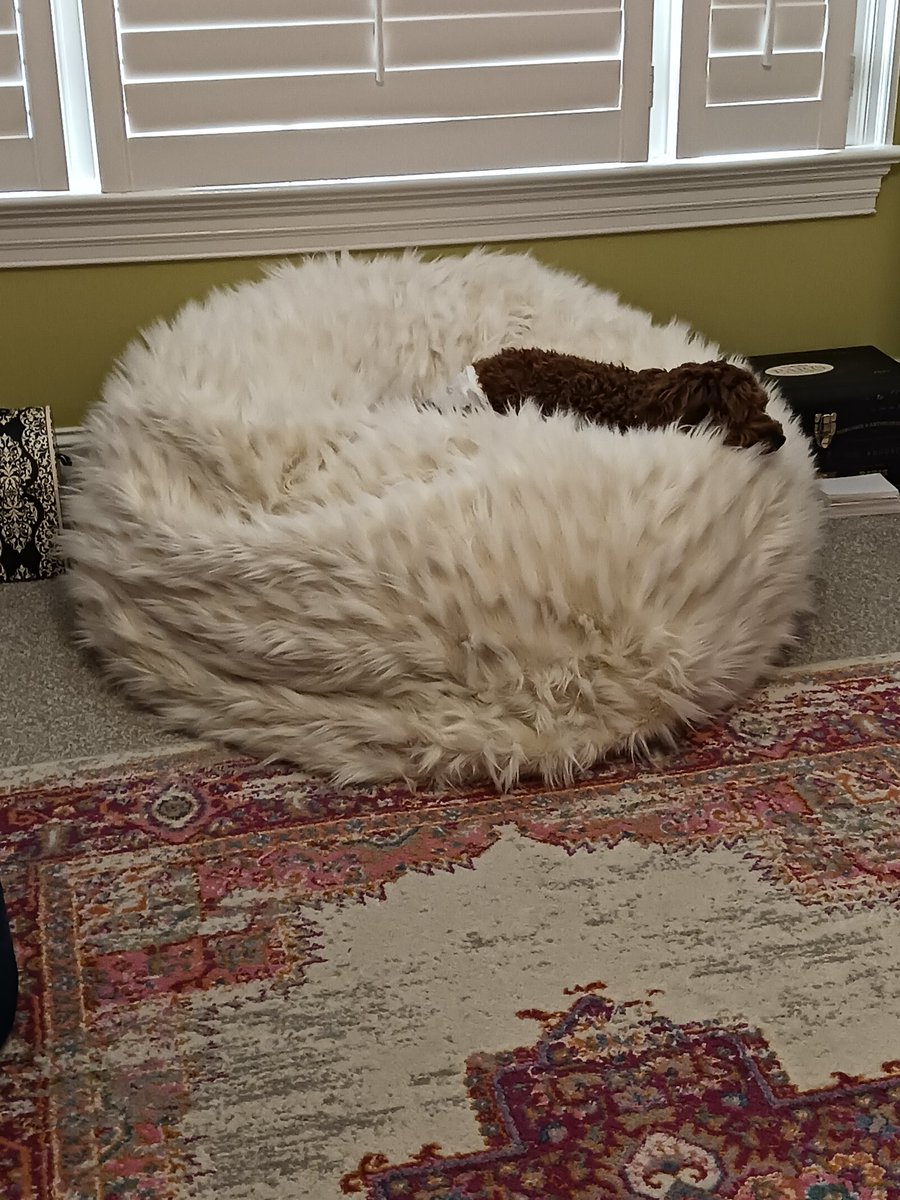 Wiggly is in my bedroom on my bean bag do you think is cute