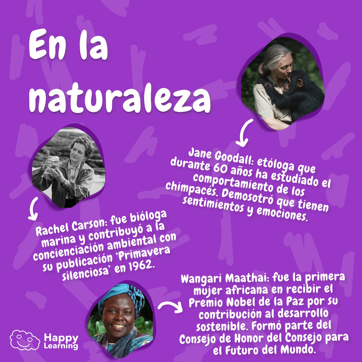 Happy Learning ES tweet media