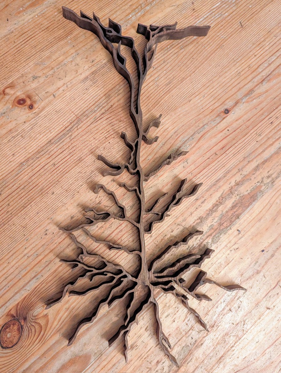 NeuroWoodworks tweet media