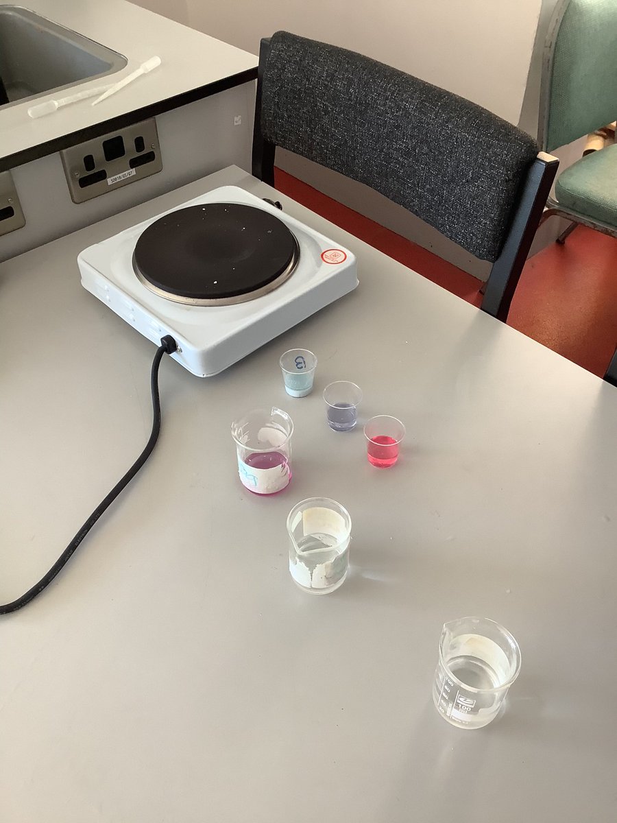 stpaulsgscience's tweet photo. Students @stpaulsgscience made some red cabbage indicator earlier in the week . They also carried out a simple neutralisation reaction between vinegar and sodium hydroxide🥼🧪👩🔬 #acids #bases #ph #redcabbageindicator #colourchange #simpleinvestigation https://t.co/83SezTJzHM