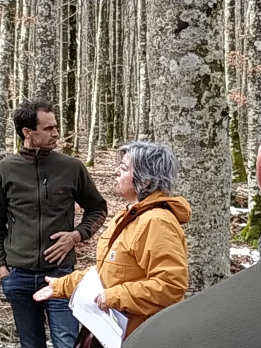 Turno ahora para nuestra compañera Esther Merlo (investigadora) de <a href="/Madera_Plus/">Madera Plus</a>  que nos muestra los modelos de predicción de las propiedades tecnológicas de la madera en haya a partir de NDT. Hoy 8 de marzo el papel de la mujer muy presente en el <a href="/go_fagus/">Grupo Operativo GO Fagus</a>