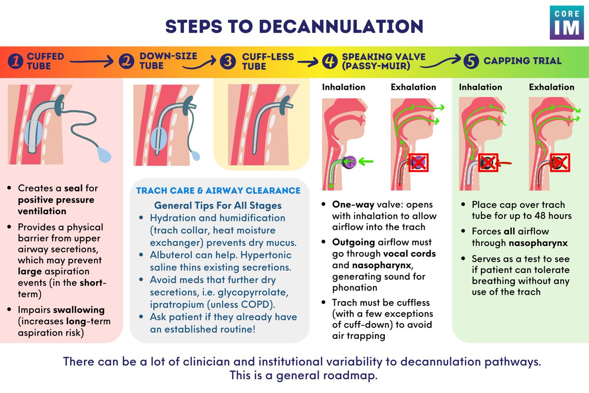 1/ 🚨Trach Care: 5 Pearls Episode 🚨 What is the process for #decannulation? How do speaking valves and capping trials work? 🎧: link.chtbl.com/Trach_Care 🗒️: bit.ly/3Yuzy2P Sponsor: @ambossmed