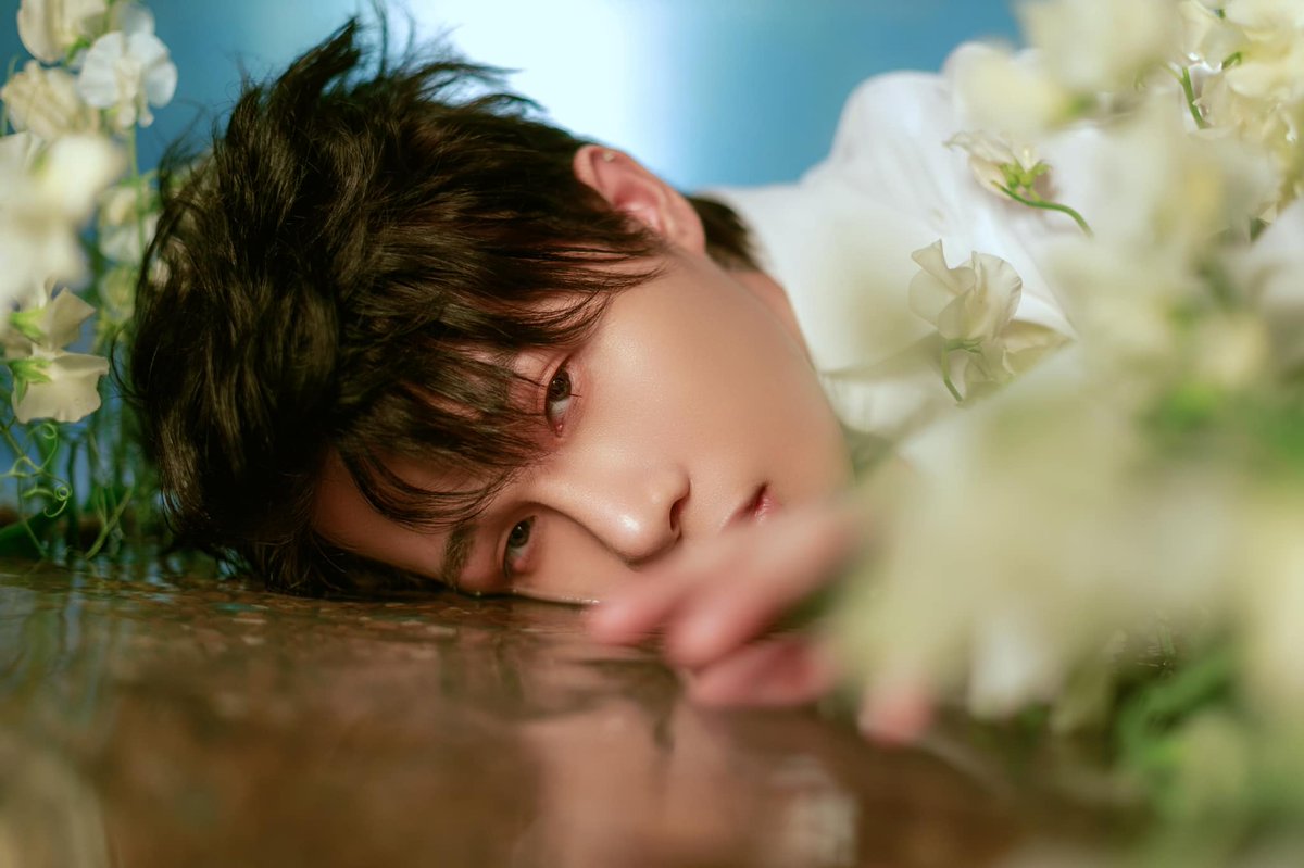 phuongtuan_j97's tweet photo. 🌻 https://t.co/BgAVCCdWpF
