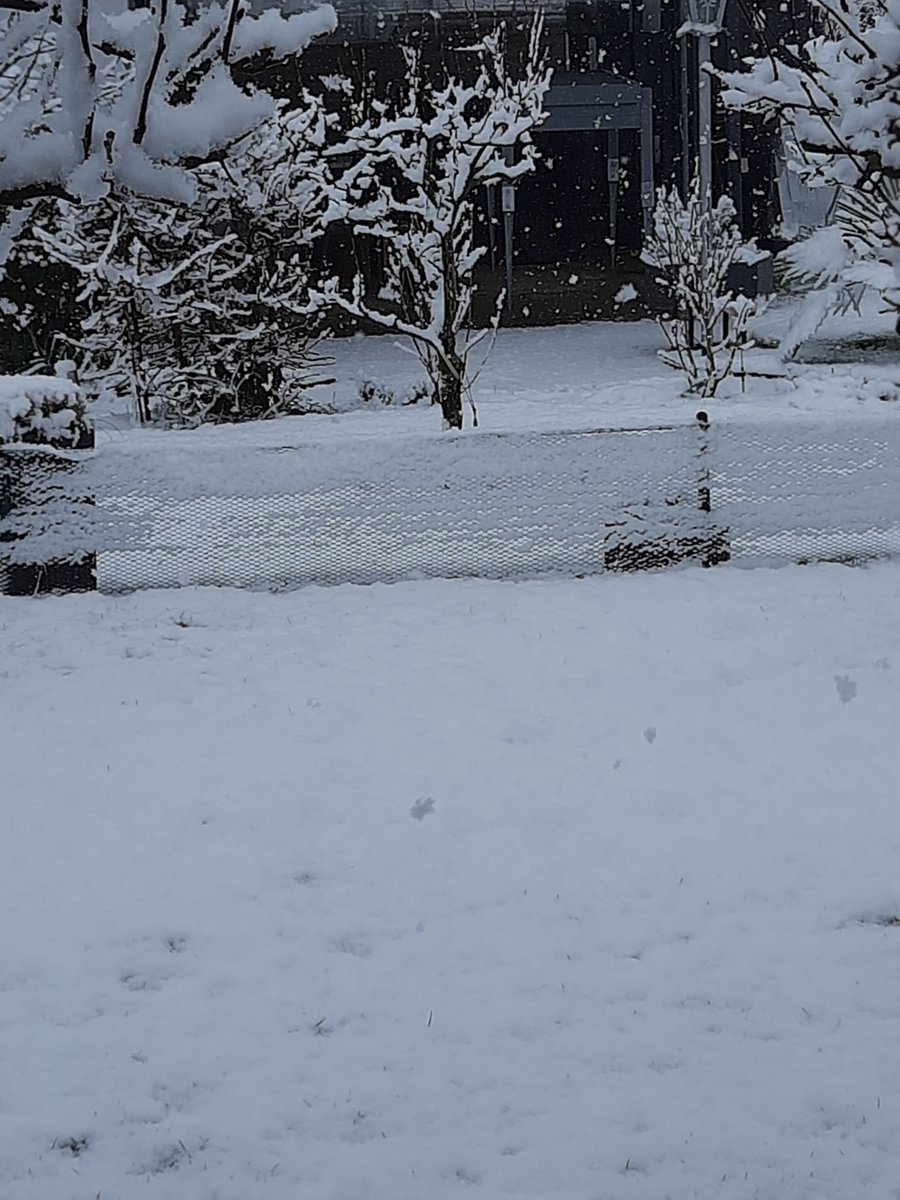 #Schnee im Pott kann auch schön sein 🖤🌨️ #Ruhrgebiet #Oberhausen