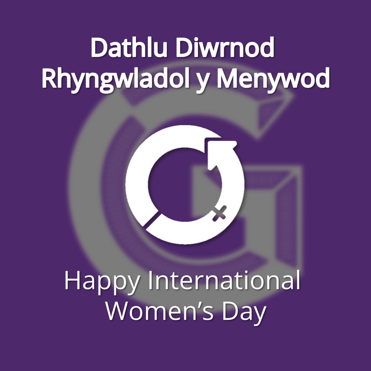 Gorilla Group TV (@gorillagrouptv) on Twitter photo 