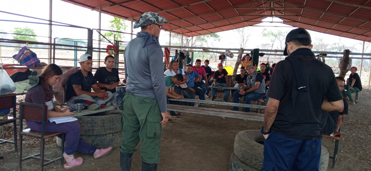 BloqueLlaneroAmazonico_MRT tweet media