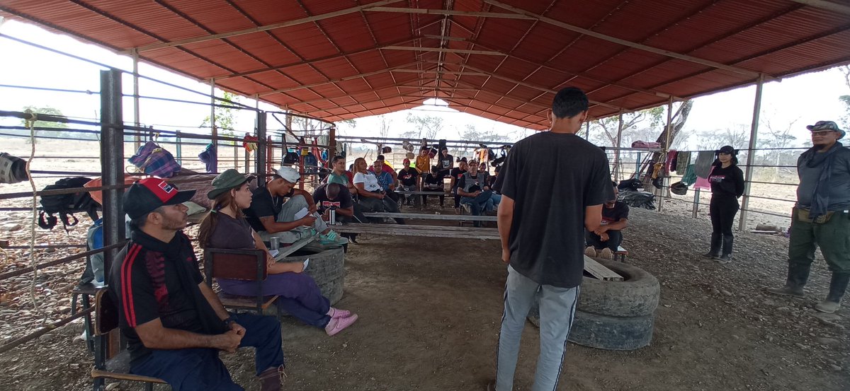 BloqueLlaneroAmazonico_MRT tweet media