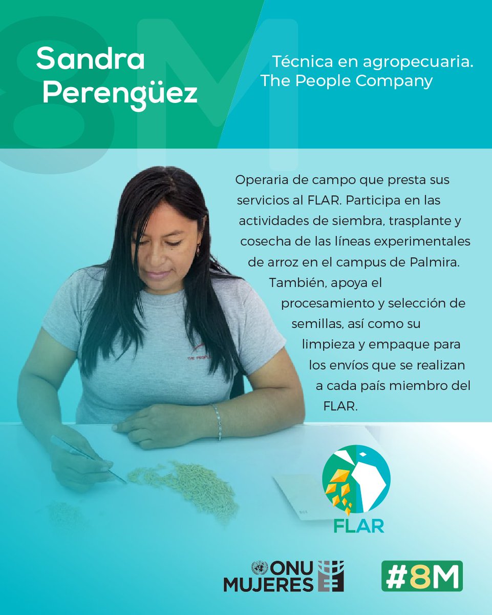 FLAR🌾🍚 (@arrozflar) on Twitter photo En el #DíaDeLasMujeres exaltamos a cuatro mujeres que con su labor en #Panamá🇵🇦 (<a href="/conagrosemillas/">conagrosemillas</a>), #Uruguay🇺🇾 (<a href="/ACAoficial/">ACA</a>), #Venezuela🇻🇪 (<a href="/fundacion_danac/">Fundación Danac</a>) y <a href="/arrozFLAR/">FLAR🌾🍚</a>, contribuyen a la competitividad y sostenibilidad del arroz en América Latina y el Caribe🌾
#IWD2023 | #8M En el #DíaDeLasMujeres exaltamos a cuatro mujeres que con su labor en #Panamá🇵🇦 (<a href="/conagrosemillas/">conagrosemillas</a>), #Uruguay🇺🇾 (<a href="/ACAoficial/">ACA</a>), #Venezuela🇻🇪 (<a href="/fundacion_danac/">Fundación Danac</a>) y <a href="/arrozFLAR/">FLAR🌾🍚</a>, contribuyen a la competitividad y sostenibilidad del arroz en América Latina y el Caribe🌾
#IWD2023 | #8M