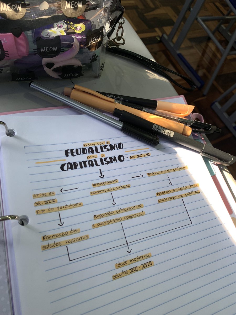 i87mi's tweet image. começando o dia com a minha disciplina predileta e um elogio do professor! boa aula pra vocês #studytwt, e feliz dia da mulher. 🤍