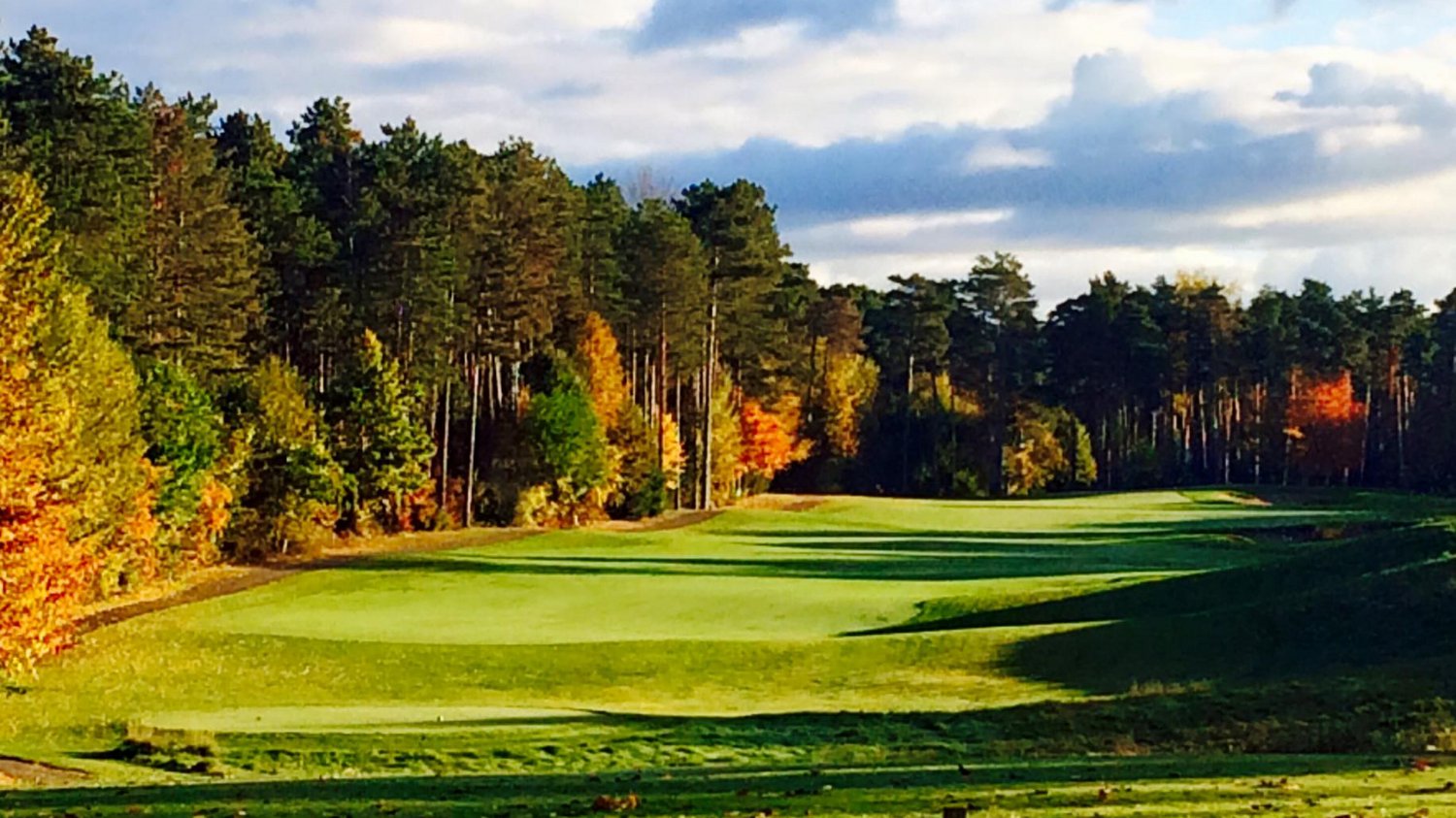 Tee Time Golf Pass (TeeTimeGolfPass) / Twitter