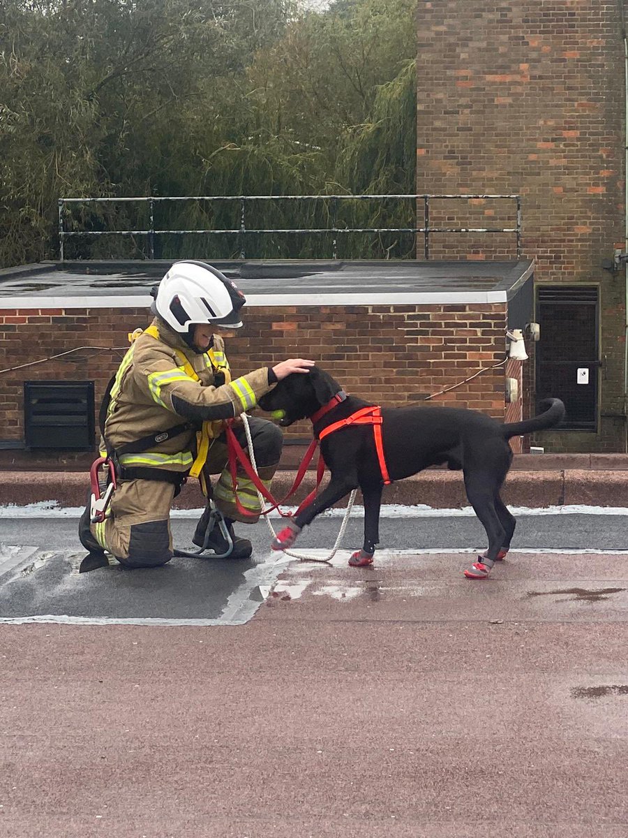 A year with <a href="/cambsfrs/">Cambridgeshire Fire and Rescue Service</a> then 29 years of combined service with <a href="/HertsFRSControl/">Herts Fire Control</a> &amp; <a href="/HFRS/">Herts Fire & Rescue</a> this
year across 4 different FRS roles👩‍🚒

Always be proud of who you are &amp; what you’ve achieved &amp; remember…….you’re amazing 🙌

#InternationalWomensDay #InternationalWomensDay2023 
#IWD2023