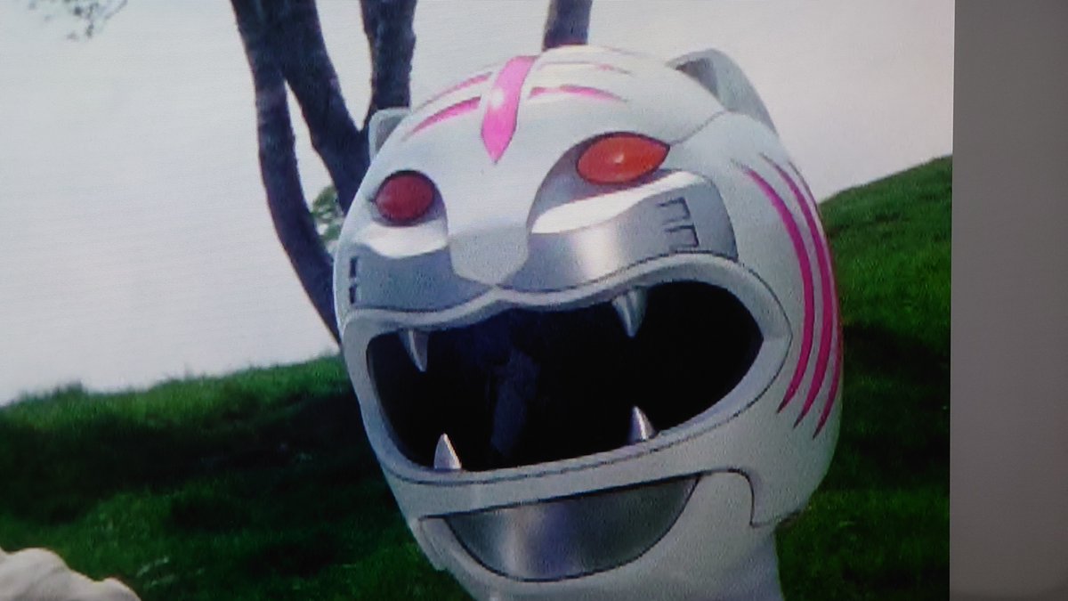 竹内実生 さんお誕生日おめでとうございます！🎂🐯 #百獣戦隊