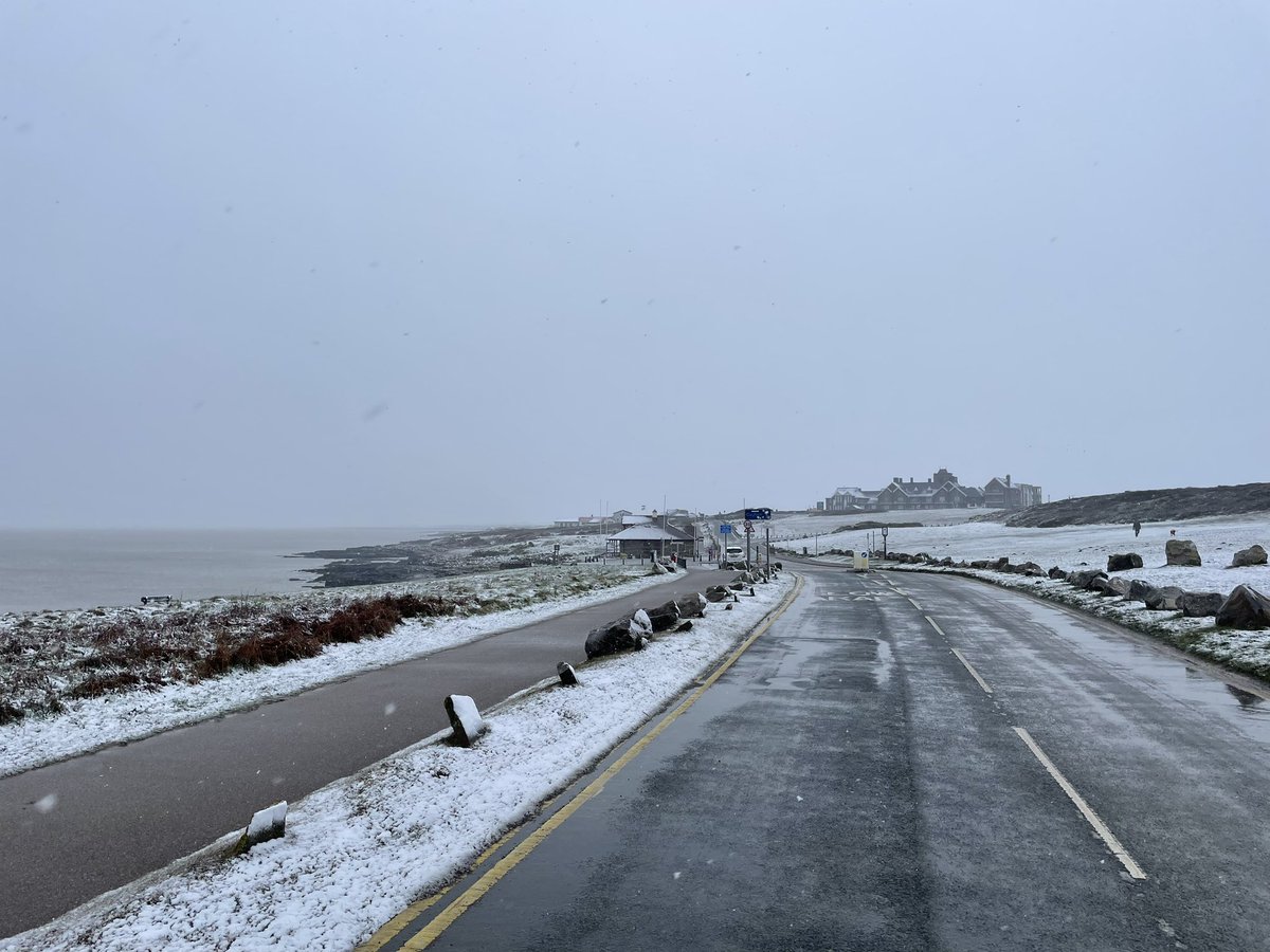 Rest Bay SLSC tweet media