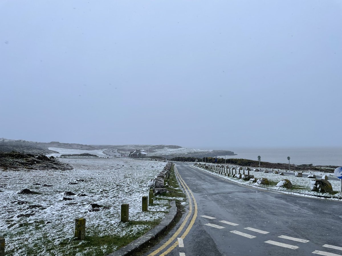 Rest Bay SLSC tweet media