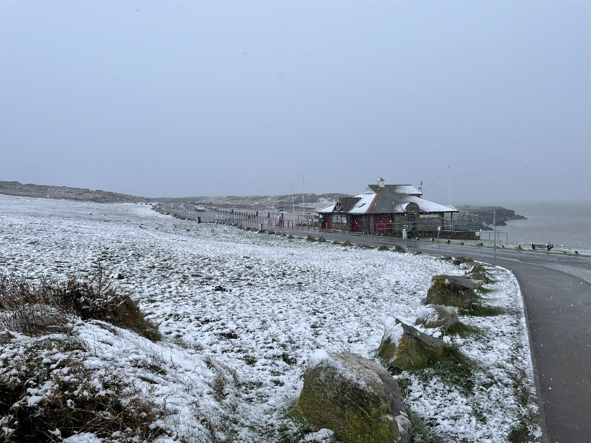 Rest Bay SLSC tweet media
