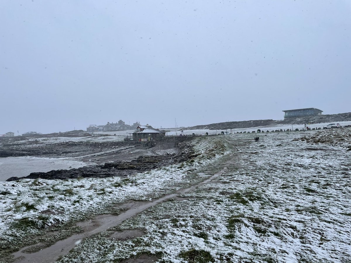 Rest Bay SLSC tweet media