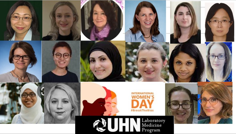 Carmen Avila (@kidneypathology) on Twitter photo #IWD2023 kudos to the women in pathology <a href="/UHN/">University Health Network</a> setting higher standards in clinical, research and all leadership roles. Empowering each other to new heights #BreakTheBias <a href="/s_prendeville/">Susan Prendeville</a> <a href="/QaShifaa/">Shifaa’ Al Qa’qa’</a> <a href="/RehabFatani/">Rehab Fatani</a> <a href="/DrCarolCheung/">Carol Cheung, MD, PhD, JD</a> <a href="/SNKali/">Sangeetha N Kalimuthu</a> <a href="/Annamull3334/">Anna Marie Mulligan</a> @LMP_UofT #IWD2023 kudos to the women in pathology <a href="/UHN/">University Health Network</a> setting higher standards in clinical, research and all leadership roles. Empowering each other to new heights #BreakTheBias <a href="/s_prendeville/">Susan Prendeville</a> <a href="/QaShifaa/">Shifaa’ Al Qa’qa’</a> <a href="/RehabFatani/">Rehab Fatani</a> <a href="/DrCarolCheung/">Carol Cheung, MD, PhD, JD</a> <a href="/SNKali/">Sangeetha N Kalimuthu</a> <a href="/Annamull3334/">Anna Marie Mulligan</a> @LMP_UofT