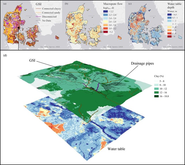 Knowledge on water table depth contributes to the understanding of soil functioning and soils’ provision of ecosystem services. We contributed with our expertise on groundwater modelling to this excellent review on Soil assessment in Denmark. 

frontiersin.org/articles/10.33…