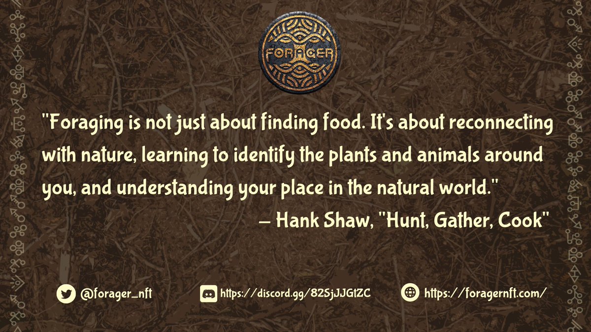 ForagerNFT tweet media