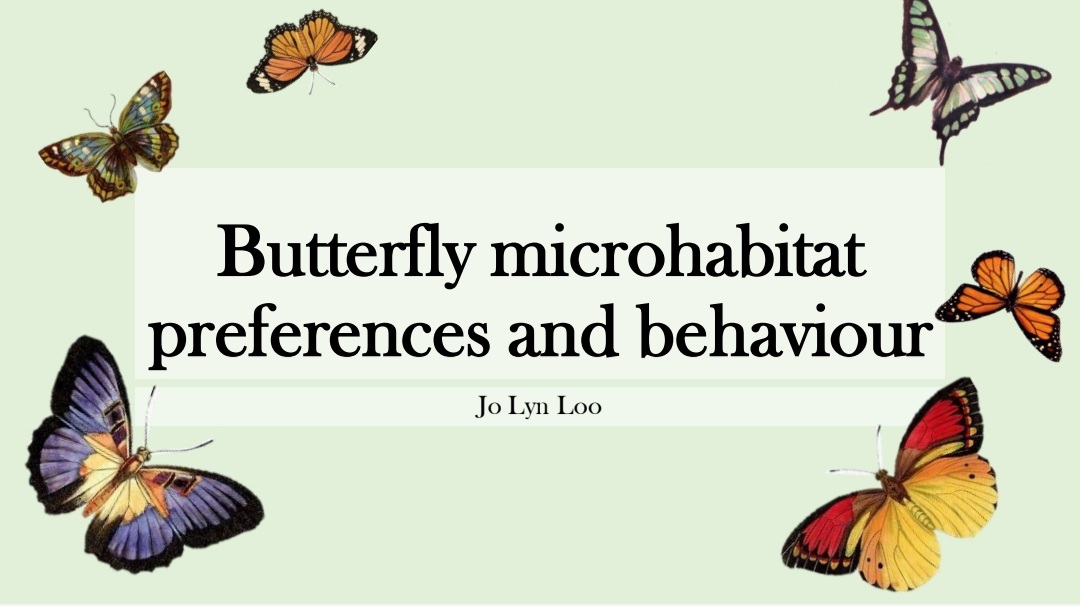 NYJ_0L's tweet photo. After months of hard work and earning my @UniMelb @BioSci_UniMelb degree, we finally shared our findings with @ZoosVictoria! Grateful for all the support from Devi, @neptsnecklace and everyone in #StuartFoxLab
π¦
#Melbournezoo https://t.co/UpeO6mQLWn