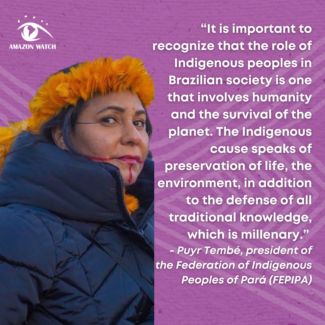 Amazon Watch On Twitter On Internationalwomensday Were Lifting Up The Voices Of Indigenous