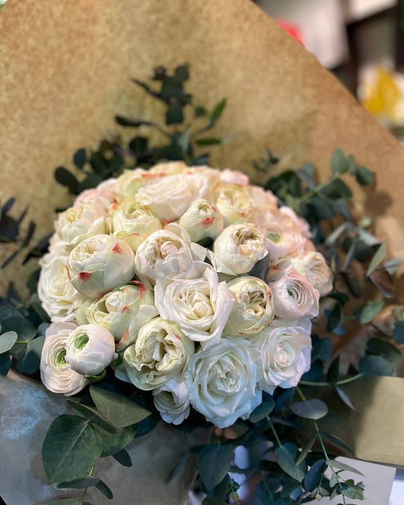 Scottiverdesign's tweet photo. Non solo mimose….festa della donna 👩 2023…
.
.
.
.
#nonsolomimose #festadelladonna #8marzo #auguri #auguriatuttteledonne #flowerpower #flowerinstagram #flowerporn #flowerdesign #scottiverdesign https://t.co/DycL958kdM https://t.co/NJXl96AoJa