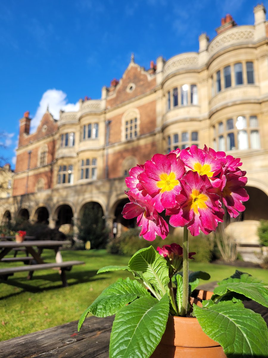 SidneySussex's tweet image. 📷Blue skies and beautiful, late afternoon light in Cloister Court yesterday.
#SidneySussexCollege #SidneySussex
#CambridgeUniversity
