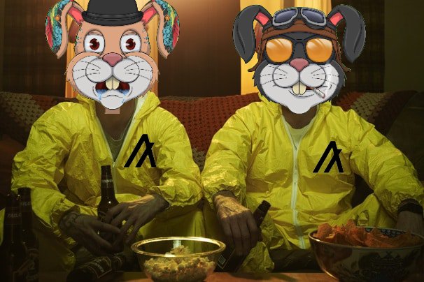 josh_irie's tweet photo. It's time to clean up the mess ☣️

Hope the #algofam is all doing OK.🫂

It's #ARGHumpday so come hop in the discord and chill with us. 
@AddictRabbit_G 👈👈 https://t.co/ZQfnL8E2Om