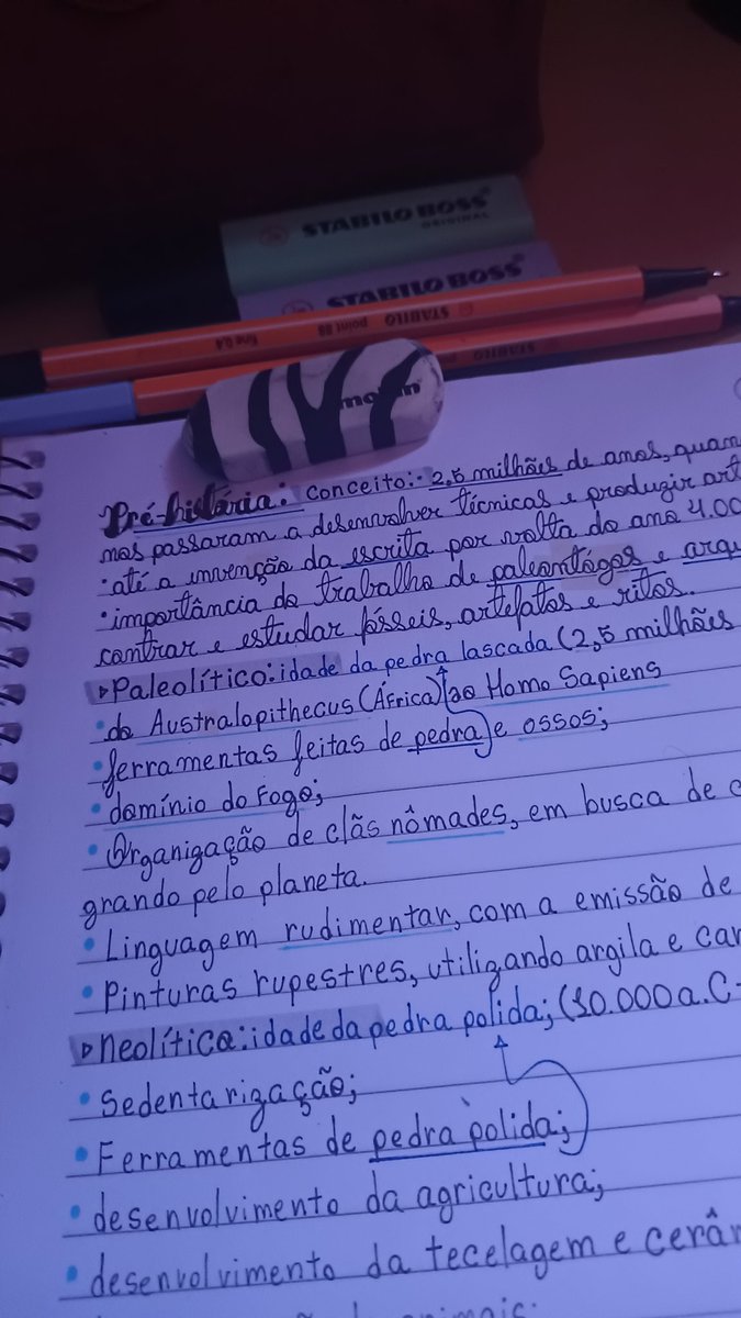 studykeitt's tweet image. borracha de zebra 🦓