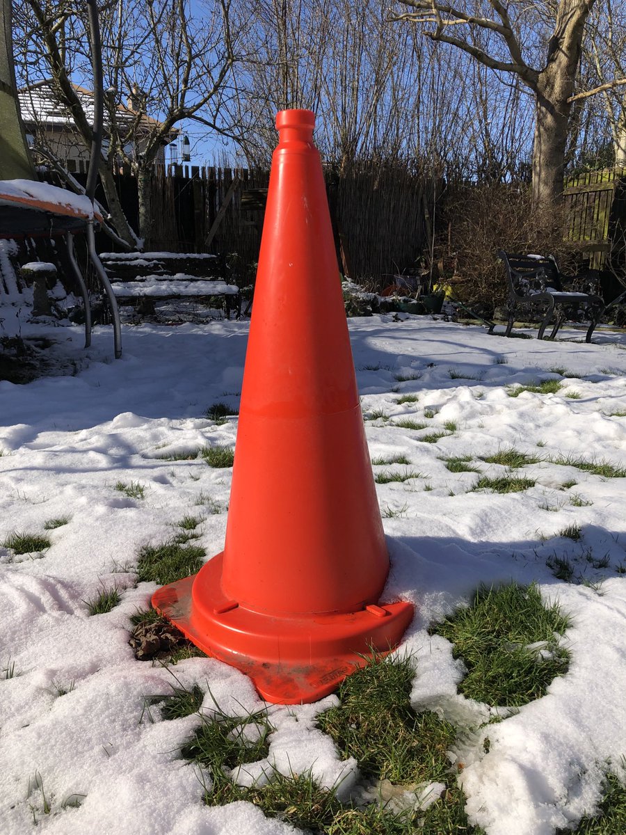 The beauty of the unmistakable #wemas cone in the snow