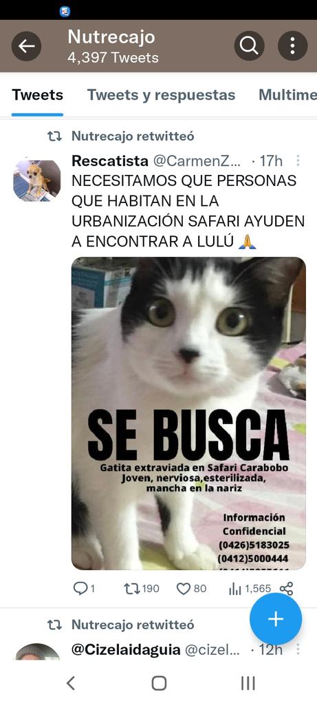Yasmin castro tweet media
